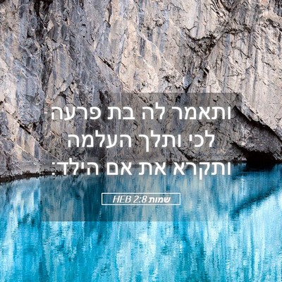 Picture 05 - שמות 2:8 HEB - ותאמר לה בת פרעה לכי ותלך - Bible Verse Picture