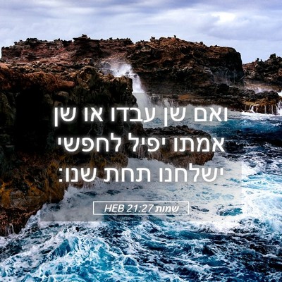 Picture 05 - שמות 21:27 HEB - ואם שן עבדו או שן אמתו יפיל - Bible Verse Picture