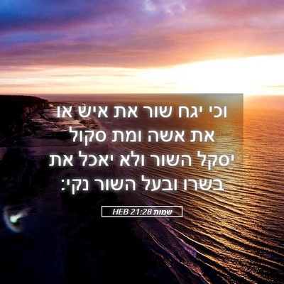 Picture 05 - שמות 21:28 HEB - וכי יגח שור את איש או את אשה - Bible Verse Picture