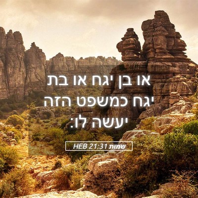 Picture 05 - שמות 21:31 HEB - או בן יגח או בת יגח כמשפט - Bible Verse Picture