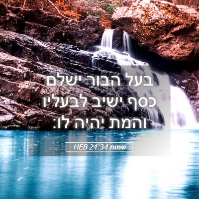 Picture 05 - שמות 21:34 HEB - בעל הבור ישלם כסף ישיב - Bible Verse Picture