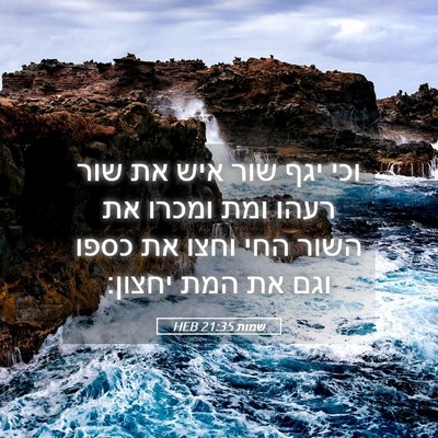 Picture 05 - שמות 21:35 HEB - וכי יגף שור איש את שור רעהו - Bible Verse Picture