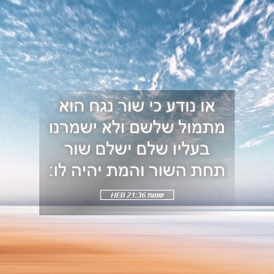 Picture 05 - שמות 21:36 HEB - או נודע כי שור נגח הוא - Bible Verse Picture