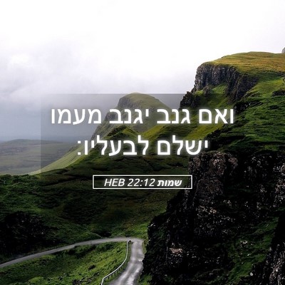 Picture 05 - שמות 22:12 HEB - ואם גנב יגנב מעמו ישלם - Bible Verse Picture