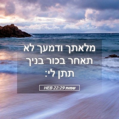 Picture 05 - שמות 22:29 HEB - מלאתך ודמעך לא תאחר בכור - Bible Verse Picture