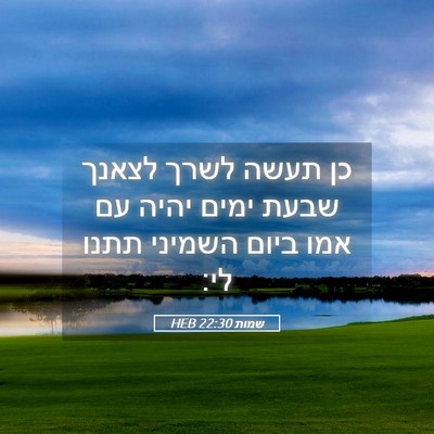 Picture 05 - שמות 22:30 HEB - כן תעשה לשרך לצאנך שבעת - Bible Verse Picture
