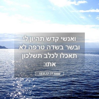Picture 05 - שמות 22:31 HEB - ואנשי קדש תהיון לי ובשר - Bible Verse Picture