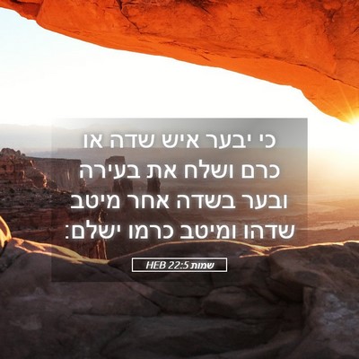 Picture 05 - שמות 22:5 HEB - כי יבער איש שדה או כרם ושלח - Bible Verse Picture