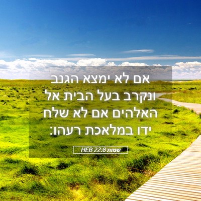 Picture 05 - שמות 22:8 HEB - אם לא ימצא הגנב ונקרב בעל - Bible Verse Picture