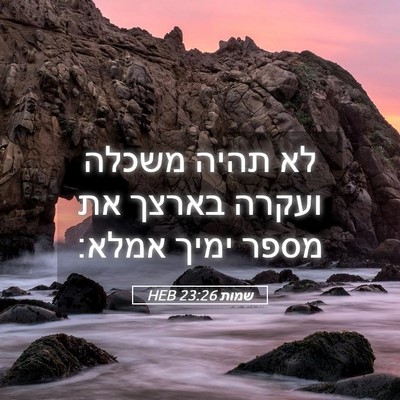 Picture 05 - שמות 23:26 HEB - לא תהיה משכלה ועקרה בארצך - Bible Verse Picture