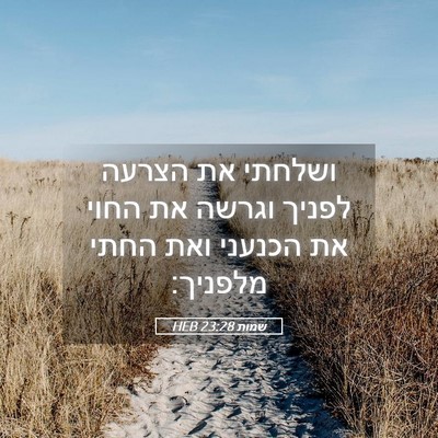 Picture 05 - שמות 23:28 HEB - ושלחתי את הצרעה לפניך - Bible Verse Picture