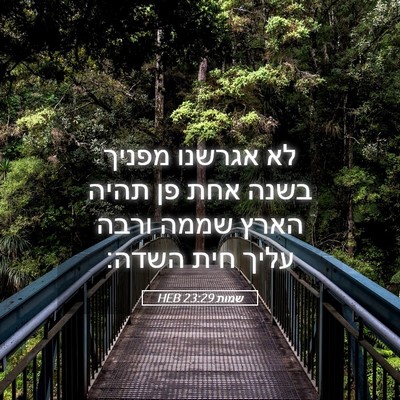 Picture 05 - שמות 23:29 HEB - לא אגרשנו מפניך בשנה אחת פן - Bible Verse Picture