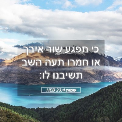 Picture 05 - שמות 23:4 HEB - כי תפגע שור איבך או חמרו - Bible Verse Picture