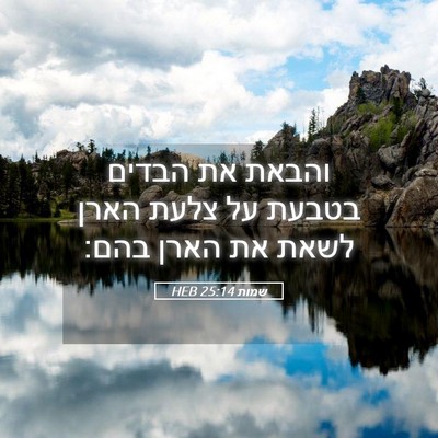 Picture 05 - שמות 25:14 HEB - והבאת את הבדים בטבעת על - Bible Verse Picture