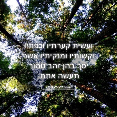 Picture 05 - שמות 25:29 HEB - ועשית קערתיו וכפתיו - Bible Verse Picture