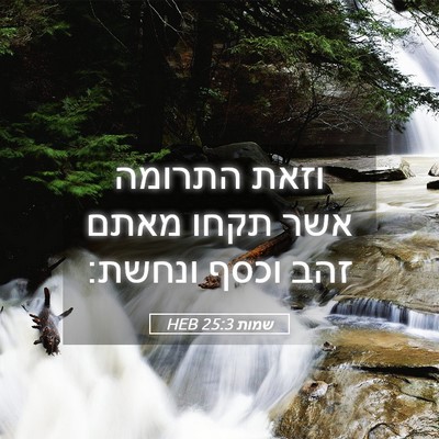 Picture 05 - שמות 25:3 HEB - וזאת התרומה אשר תקחו מאתם - Bible Verse Picture