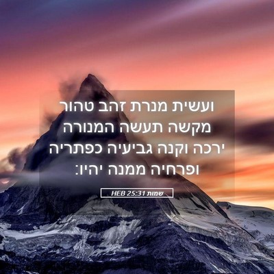 Picture 05 - שמות 25:31 HEB - ועשית מנרת זהב טהור מקשה - Bible Verse Picture