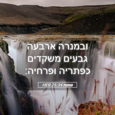 Picture 05 - שמות 25:34 HEB - ובמנרה ארבעה גבעים משקדים - Bible Verse Picture