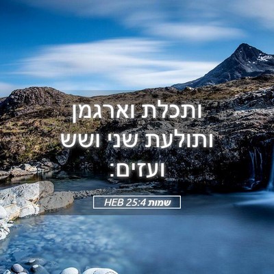 Picture 05 - שמות 25:4 HEB - ותכלת וארגמן ותולעת שני - Bible Verse Picture