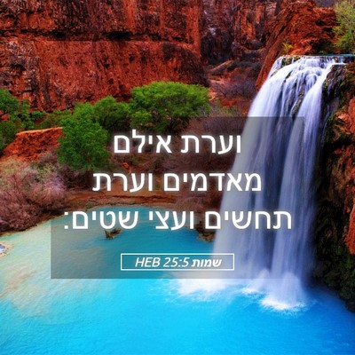 Picture 05 - שמות 25:5 HEB - וערת אילם מאדמים וערת - Bible Verse Picture
