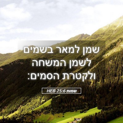 Picture 05 - שמות 25:6 HEB - שמן למאר בשמים לשמן המשחה - Bible Verse Picture