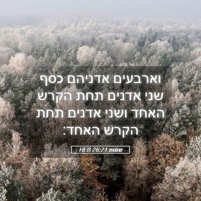 Picture 05 - שמות 26:21 HEB - וארבעים אדניהם כסף שני - Bible Verse Picture