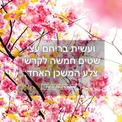 Picture 05 - שמות 26:26 HEB - ועשית בריחם עצי שטים חמשה - Bible Verse Picture