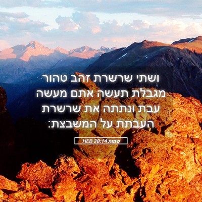 Picture 05 - שמות 28:14 HEB - ושתי שרשרת זהב טהור מגבלת - Bible Verse Picture