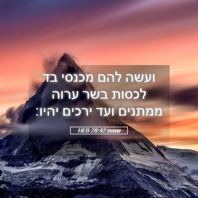 Picture 05 - שמות 28:42 HEB - ועשה להם מכנסי בד לכסות בשר - Bible Verse Picture