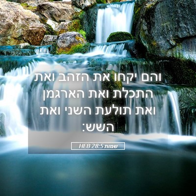 Picture 05 - שמות 28:5 HEB - והם יקחו את הזהב ואת התכלת - Bible Verse Picture