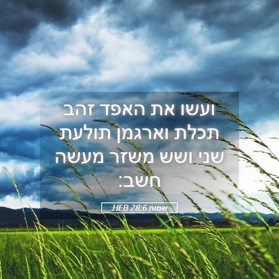 Picture 05 - שמות 28:6 HEB - ועשו את האפד זהב תכלת - Bible Verse Picture