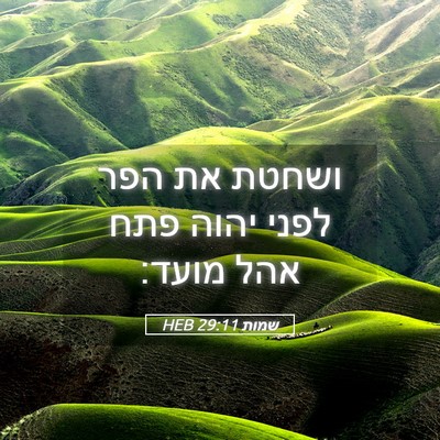 Picture 05 - שמות 29:11 HEB - ושחטת את הפר לפני יהוה פתח - Bible Verse Picture