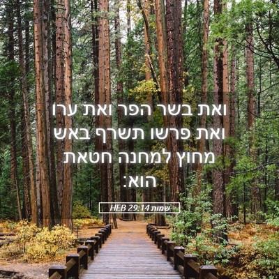 Picture 05 - שמות 29:14 HEB - ואת בשר הפר ואת ערו ואת - Bible Verse Picture