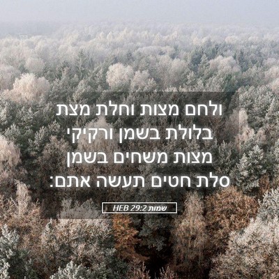 Picture 05 - שמות 29:2 HEB - ולחם מצות וחלת מצת בלולת - Bible Verse Picture
