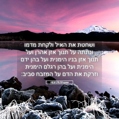 Picture 05 - שמות 29:20 HEB - ושחטת את האיל ולקחת מדמו - Bible Verse Picture