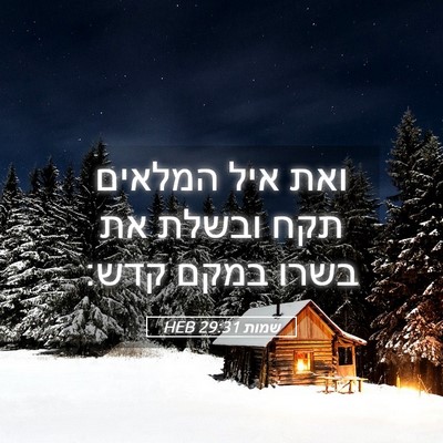 Picture 05 - שמות 29:31 HEB - ואת איל המלאים תקח ובשלת את - Bible Verse Picture
