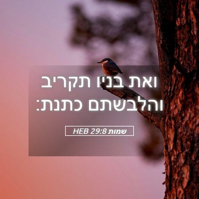 Picture 05 - שמות 29:8 HEB - ואת בניו תקריב והלבשתם - Bible Verse Picture