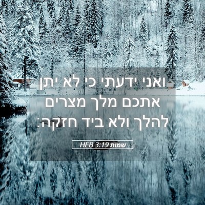 Picture 05 - שמות 3:19 HEB - ואני ידעתי כי לא יתן אתכם - Bible Verse Picture