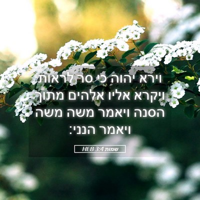 Picture 05 - שמות 3:4 HEB - וירא יהוה כי סר לראות ויקרא - Bible Verse Picture