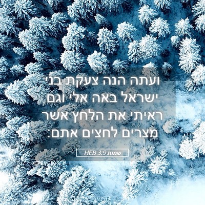Picture 05 - שמות 3:9 HEB - ועתה הנה צעקת בני ישראל באה - Bible Verse Picture