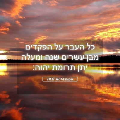 Picture 05 - שמות 30:14 HEB - כל העבר על הפקדים מבן עשרים - Bible Verse Picture