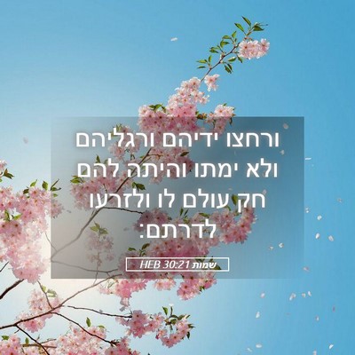 Picture 05 - שמות 30:21 HEB - ורחצו ידיהם ורגליהם ולא - Bible Verse Picture