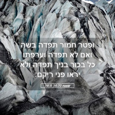 Picture 05 - שמות 34:20 HEB - ופטר חמור תפדה בשה ואם לא - Bible Verse Picture