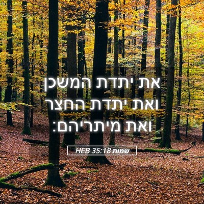 Picture 05 - שמות 35:18 HEB - את יתדת המשכן ואת יתדת החצר - Bible Verse Picture