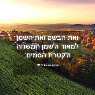 Picture 05 - שמות 35:28 HEB - ואת הבשם ואת השמן למאור - Bible Verse Picture