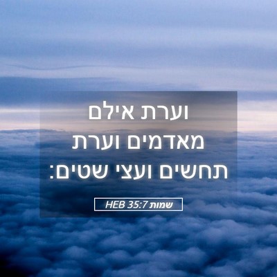 Picture 05 - שמות 35:7 HEB - וערת אילם מאדמים וערת - Bible Verse Picture