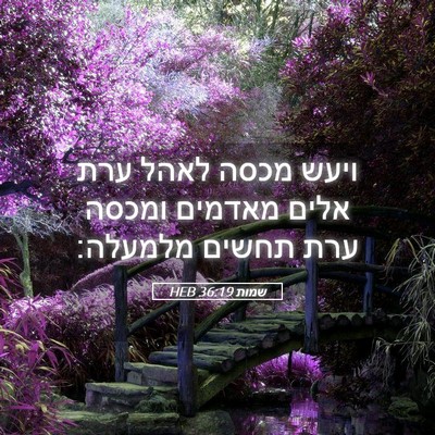 Picture 05 - שמות 36:19 HEB - ויעש מכסה לאהל ערת אלים - Bible Verse Picture