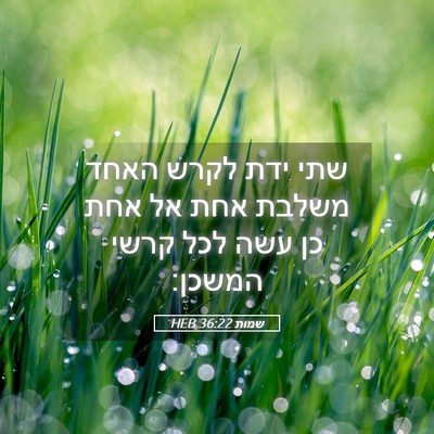 Picture 05 - שמות 36:22 HEB - שתי ידת לקרש האחד משלבת אחת - Bible Verse Picture