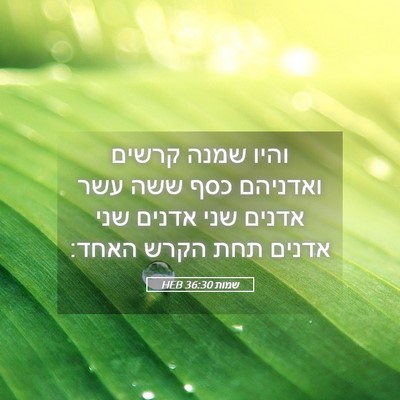 Picture 05 - שמות 36:30 HEB - והיו שמנה קרשים ואדניהם - Bible Verse Picture