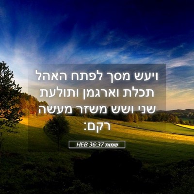 Picture 05 - שמות 36:37 HEB - ויעש מסך לפתח האהל תכלת - Bible Verse Picture